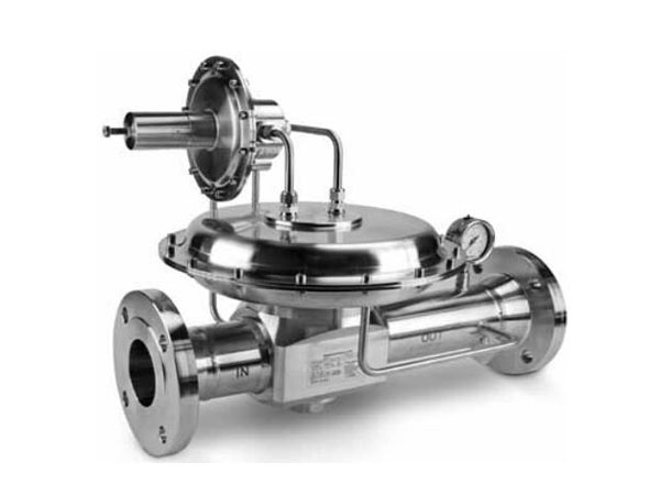 RW300系列大流量糖心VLGO官网入口