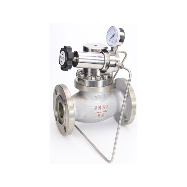 RW300系列大流量糖心VLGO官网入口